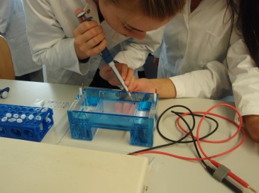 Schülerpraktikum in der Mikrobiologie